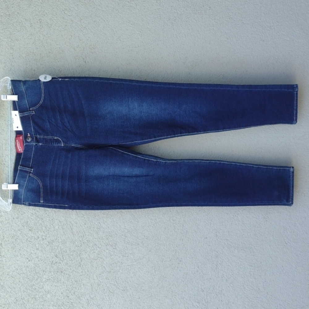 Arizona Blue Jeggings 16 Plus